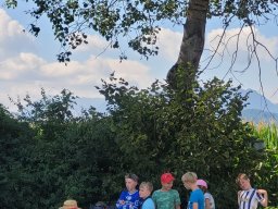 whatsapp image 2025-07-28 at 06.39.57 3